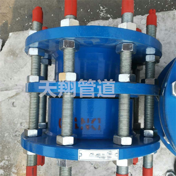 �V�������s���^