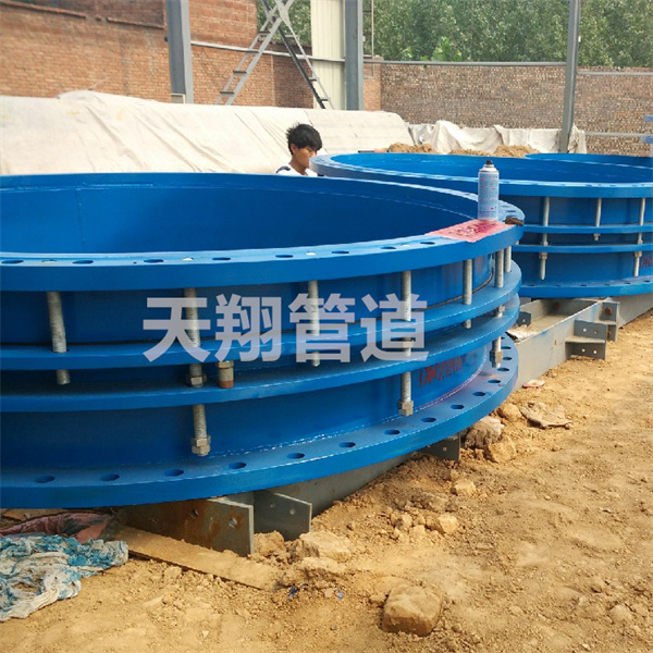 �Ĵ���s���^